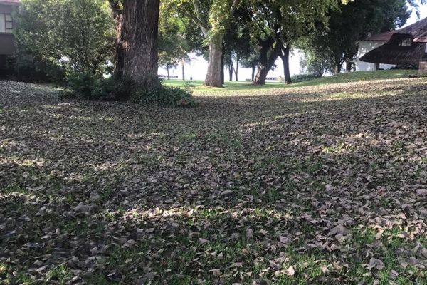 Photographs: John Lange