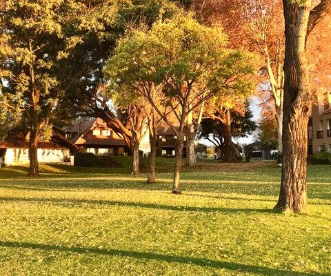 Winter has its own beauty at Luciana