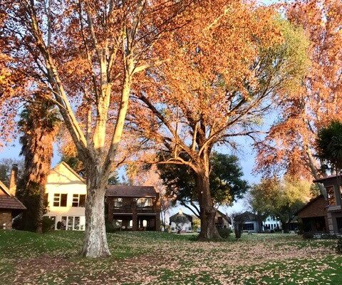 Winter has its own beauty at Luciana